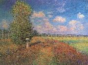 Claude Monet Sommer. Klatschmohnfeld Sweden oil painting artist
